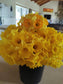 King Alfred Daffodil Bulbs – Classic Golden Bloom image 1