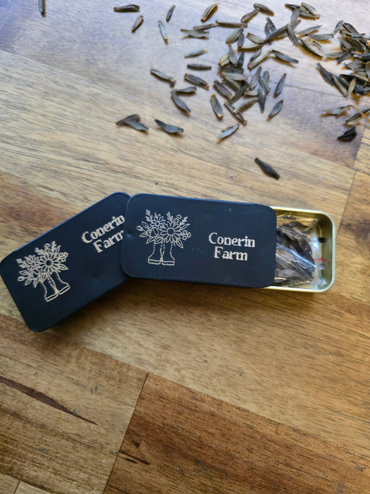 Conerin Farm Dahlia Seeds Garden Mix