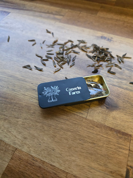 Conerin Farm Dahlia Seeds Garden Mix